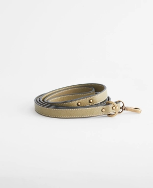 Dog Lead: Avocado (Small)
