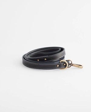 Dog Lead: Black (Small)