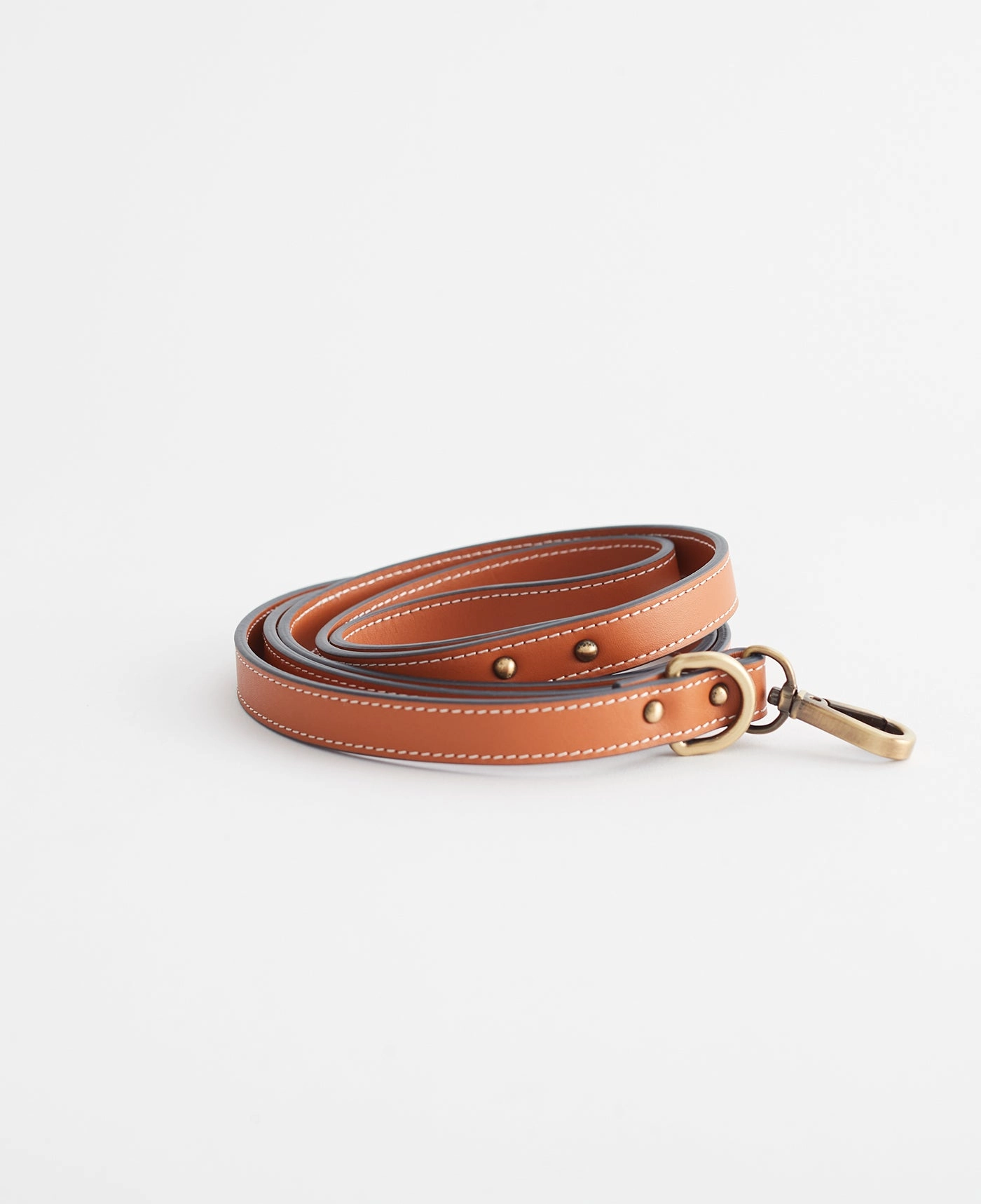 Dog Lead: Tan (Small)