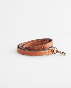 Dog Lead: Tan (Small)