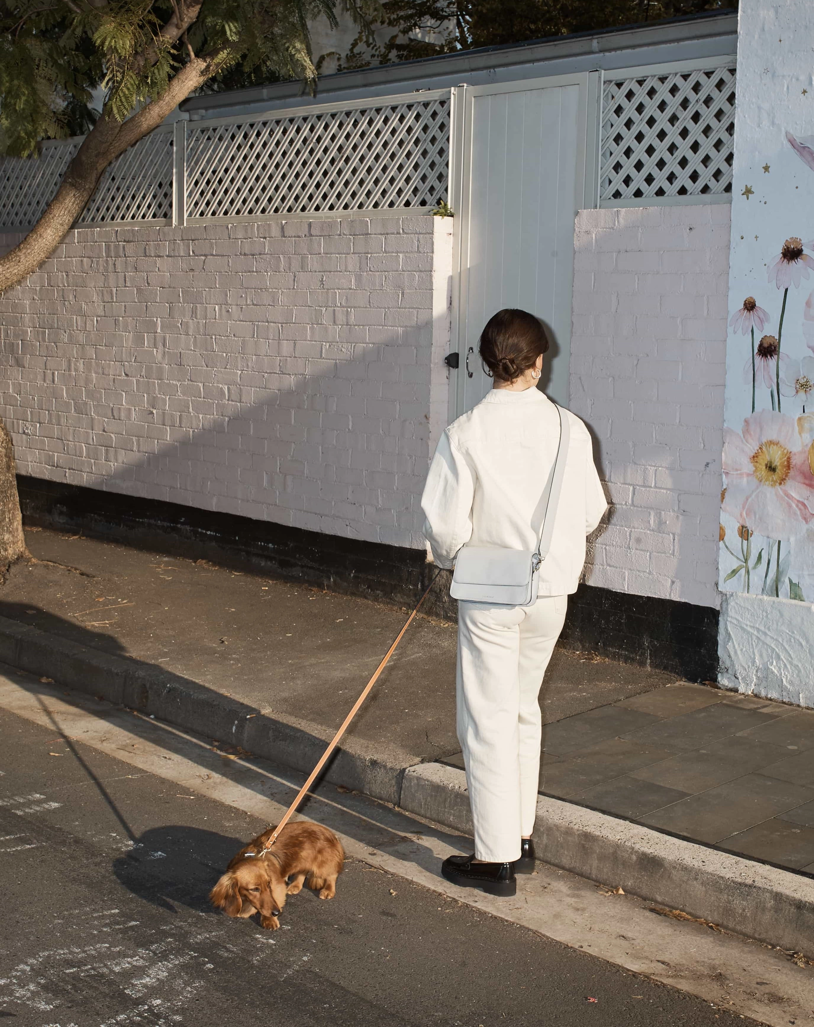 Dog Lead: Tan (Small)