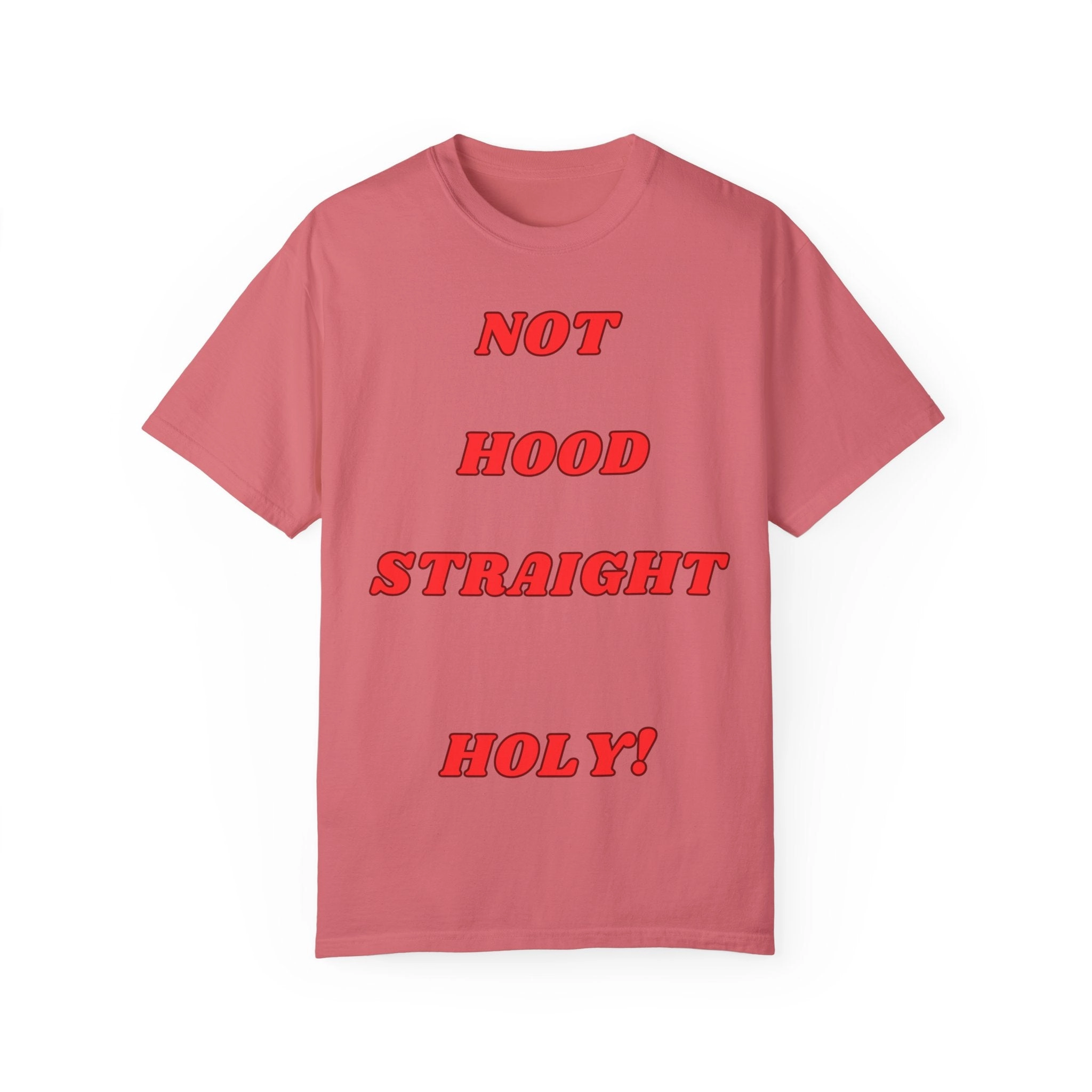 KPD Ministry Not Hood Straight Holy Garment-Dyed T-shirt