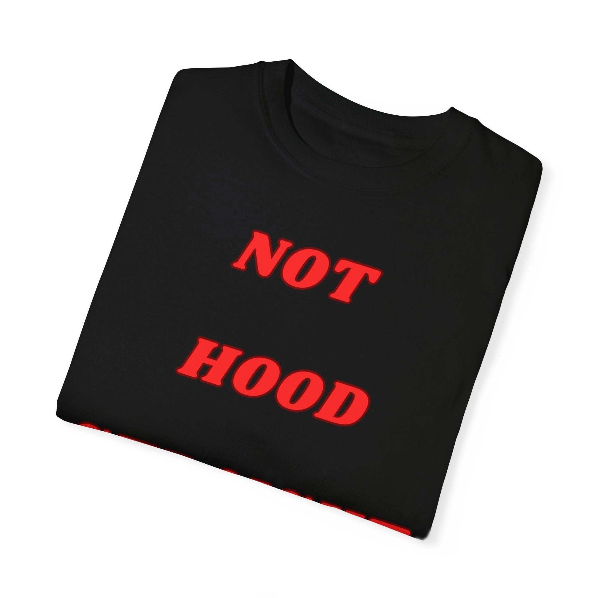 KPD Ministry Not Hood Straight Holy Garment-Dyed T-shirt