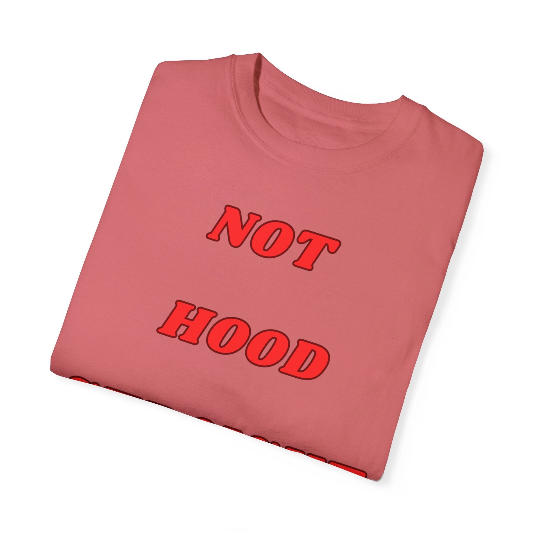 KPD Ministry Not Hood Straight Holy Garment-Dyed T-shirt