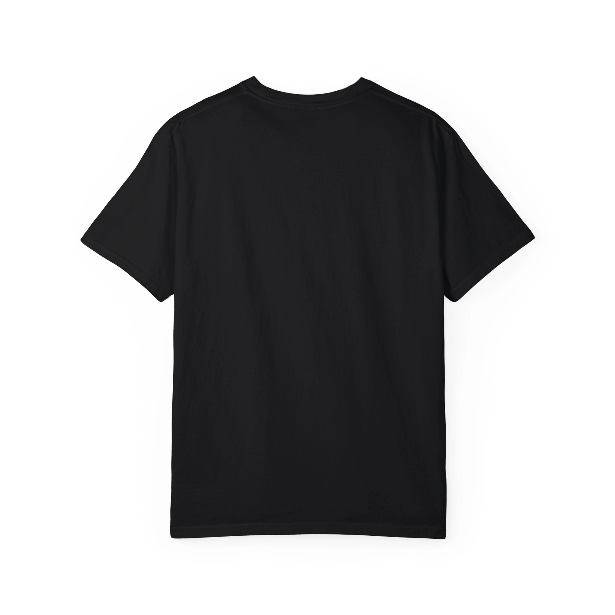 KPD Ministry Not Hood Straight Holy Garment-Dyed T-shirt
