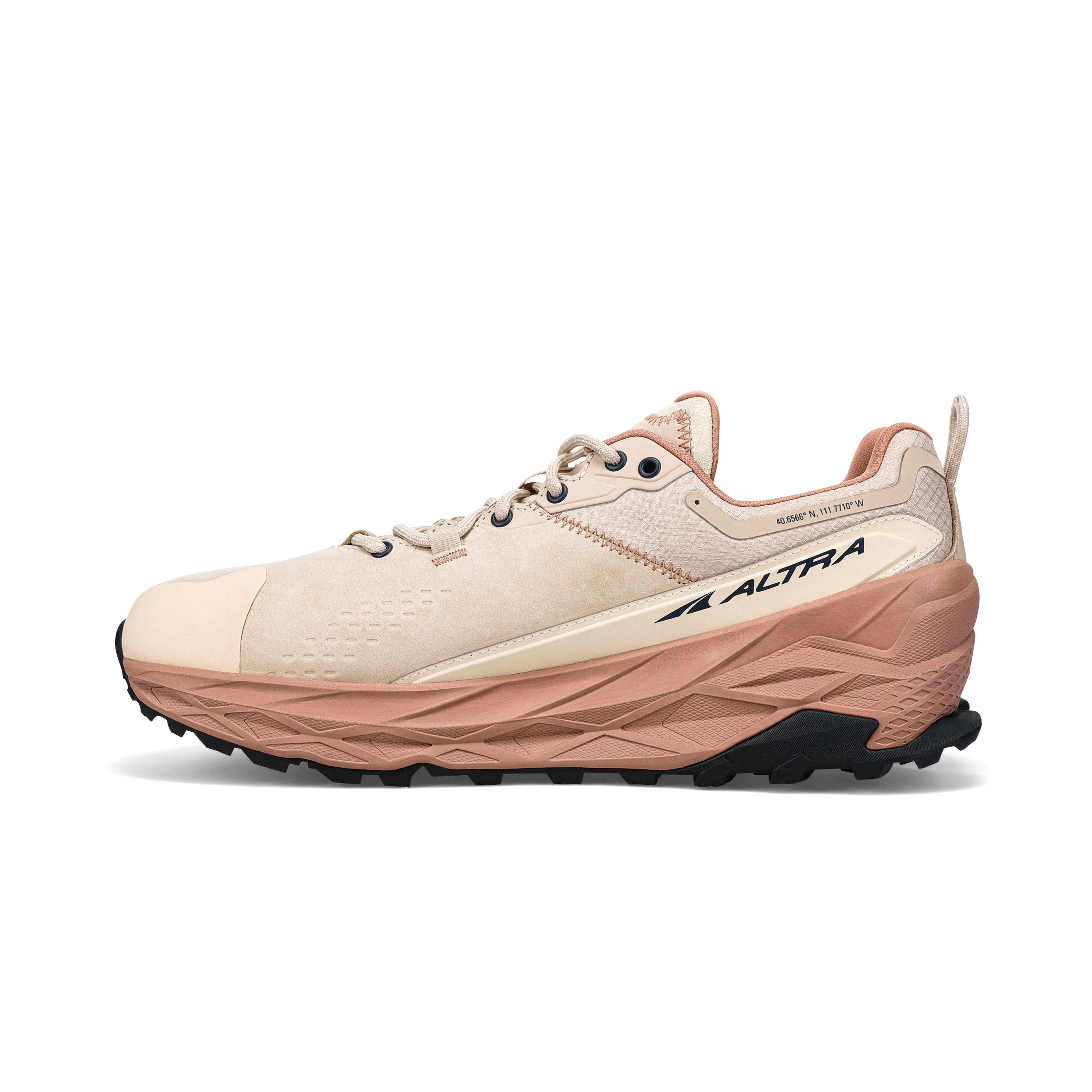 Men's Olympus 5 Hike Low GTX