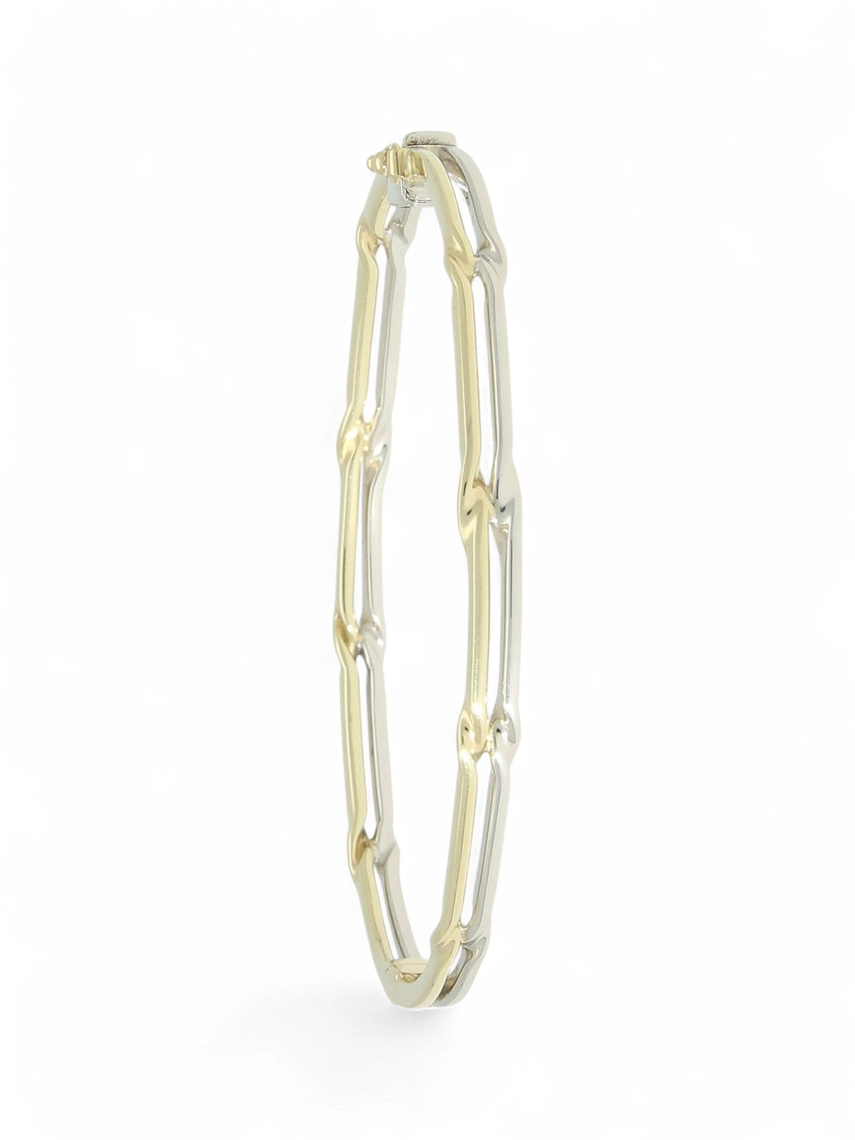 Two Row Twist Bangle in 9ct Yellow & White Gold