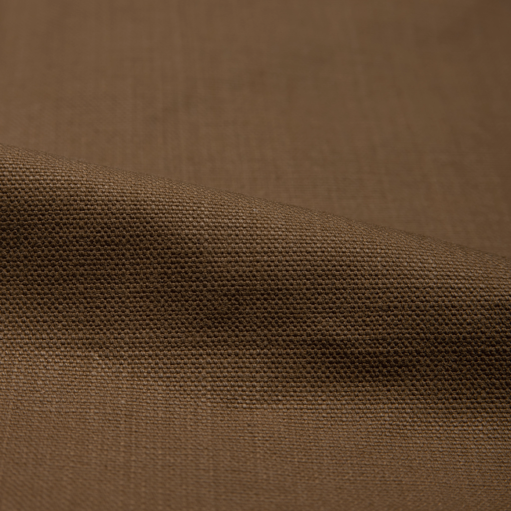 Weird Guy - Raw Cotton Canvas - Brown